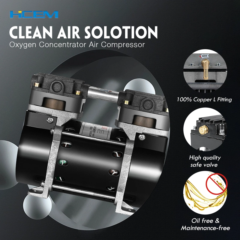 Silent 100W 48lpm Mini Portable AC Motor Oil Free Air Compressor Pumps