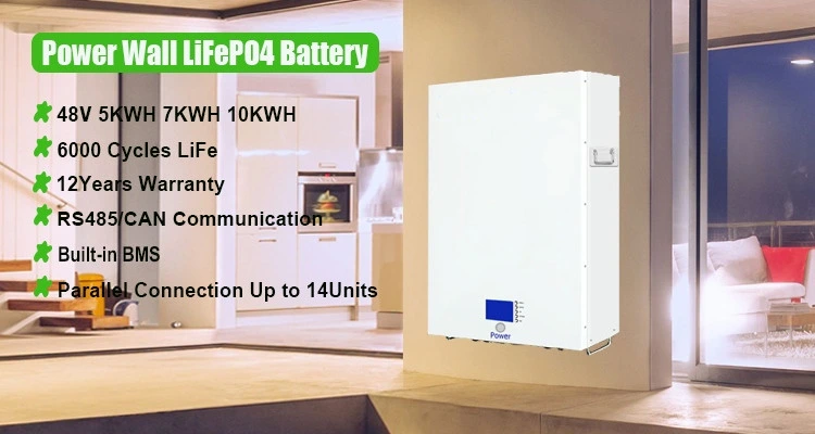 2065 Rechargeable Lithium Ion 48V 100ah External Battery LiFePO4 Battery