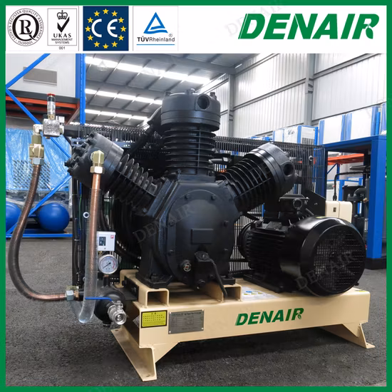 Industrial Lubricated Medical High Pressure Piston Reciprocating Type Air Compressor Pump